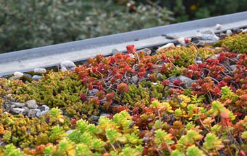 the cost of North Shore green roof installation