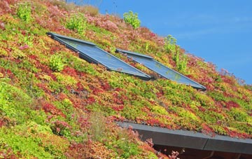North Shore living roof systems